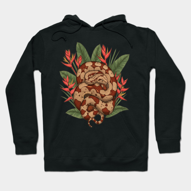 Boa Constrictor Resting in Tropical Leaves Hoodie by BirdsnStuff