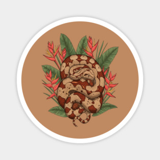 Boa Constrictor Resting in Tropical Leaves Magnet