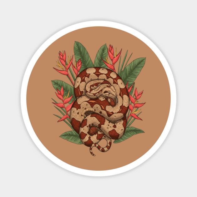 Boa Constrictor Resting in Tropical Leaves Magnet by BirdsnStuff