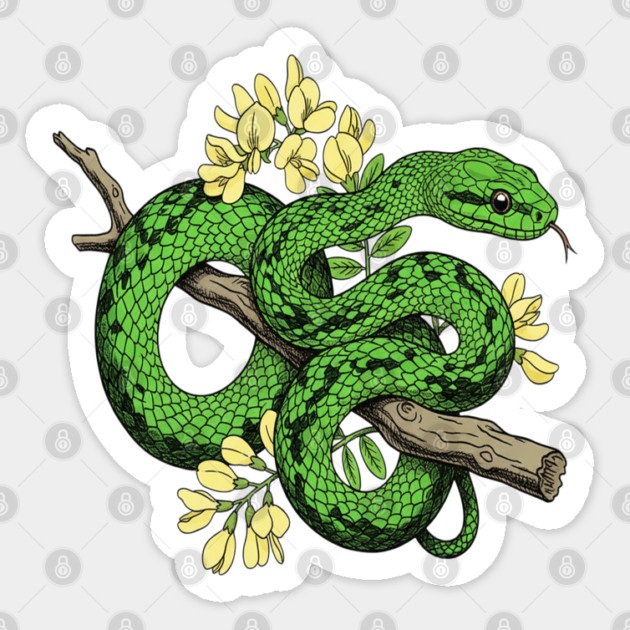 Boomslang with Yellow Acacia Blooms Sticker by BirdsnStuff