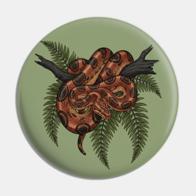 Rainbow Boa with Deep Jungle Ferns Pin by BirdsnStuff