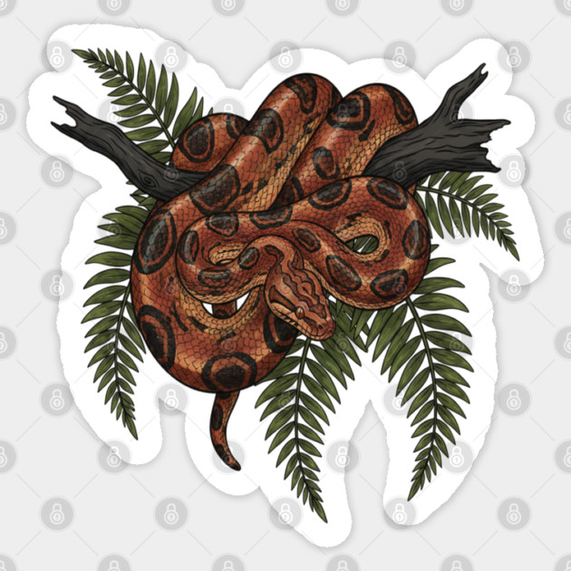 Rainbow Boa with Deep Jungle Ferns Sticker by BirdsnStuff