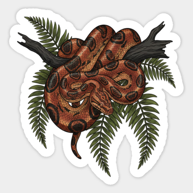 Rainbow Boa with Deep Jungle Ferns Magnet by BirdsnStuff