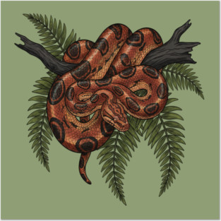 Rainbow Boa with Deep Jungle Ferns Posters and Art