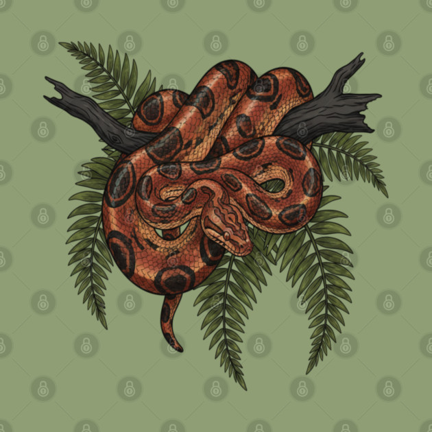 Rainbow Boa with Deep Jungle Ferns by BirdsnStuff