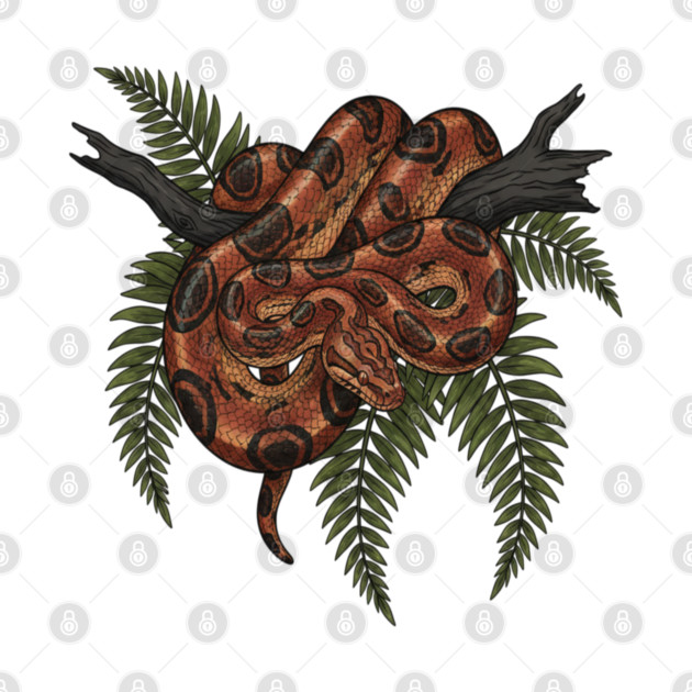 Rainbow Boa with Deep Jungle Ferns by BirdsnStuff