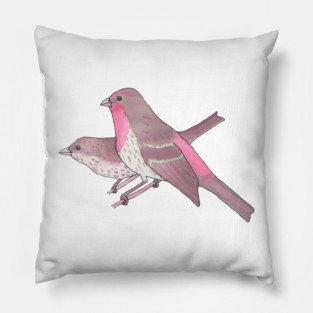 House Finch bird species bird art Pillow