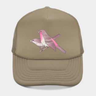 House Finch bird species bird art Hat