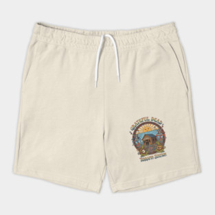 Grateful Dead Terrapin Station Vintage Album Art Tee Shorts