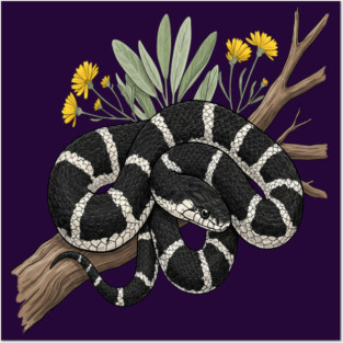 California Kingsnake with Desert Blooms Posters and Art