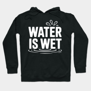 Water is Wet Hoodie