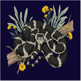 California Kingsnake with Desert Flowers Posters and Art