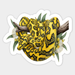 Carpet Python with Eucalyptus Flowers Sticker
