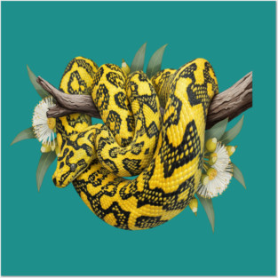 Carpet Python with Eucalyptus Flowers Posters and Art
