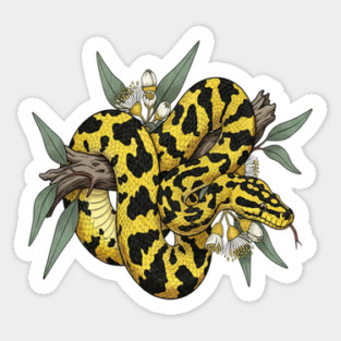 Yellow Carpet Python with Eucalyptus Magnet