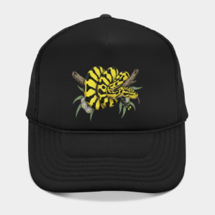 Yellow Carpet Python with Eucalyptus Leaves Hat