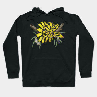 Yellow Carpet Python with Eucalyptus Leaves Hoodie