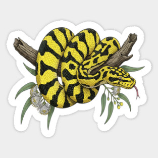 Yellow Carpet Python with Eucalyptus Leaves Magnet