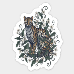 Civet Cat with Jasmine Vine Blooms Sticker