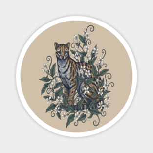 Civet Cat with Jasmine Vine Blooms Magnet