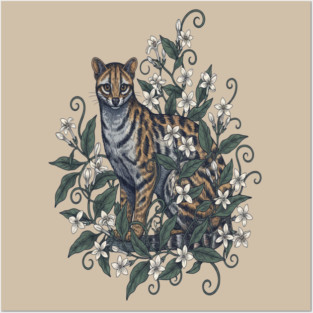 Civet Cat with Jasmine Vine Blooms Posters and Art