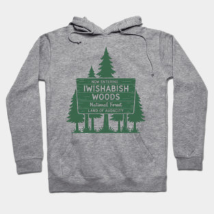 National Forest Land Audacity Hoodie