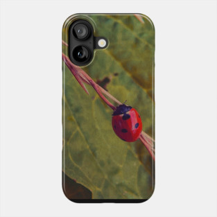 balance Phone Case