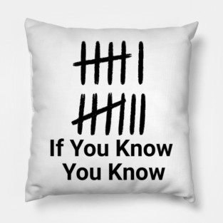 Funny Meme 67 Six Seven If You Know You Know Gen Z Alpha Pillow
