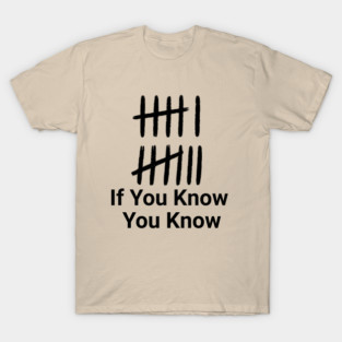 Funny Meme 67 Six Seven If You Know You Know Gen Z Alpha T-Shirt