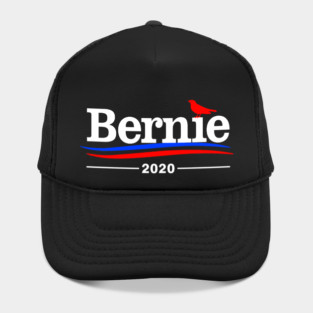 Bernie 2020 Hat