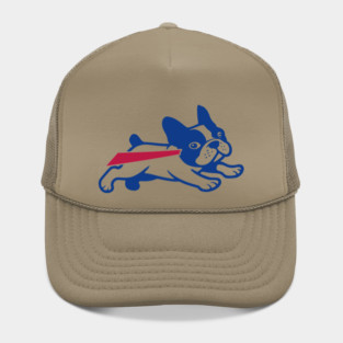 Buffalo Bills French Bulldog Hat