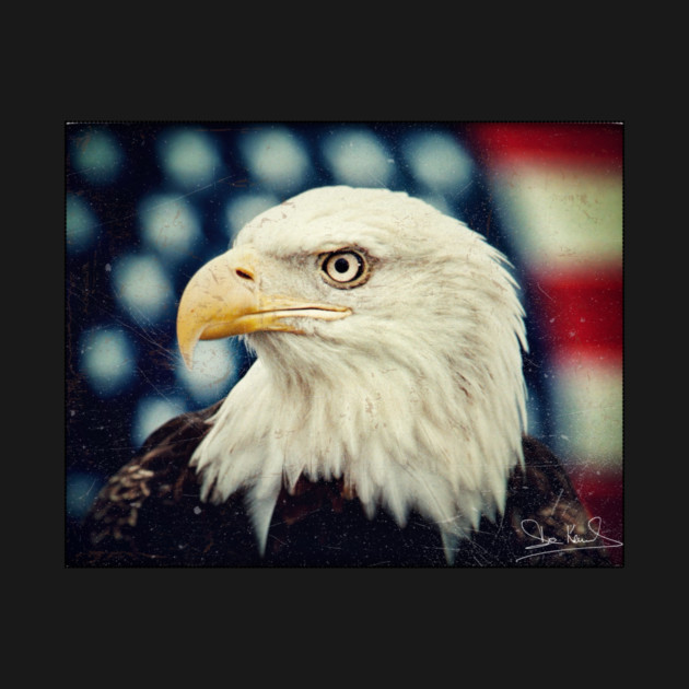Bald Eagle - Freedom and Power - Patriotic Symbol by Art2Wear