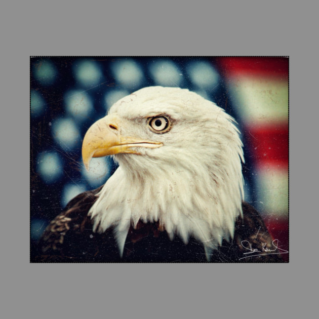Bald Eagle - Freedom and Power - Patriotic Symbol by Art2Wear
