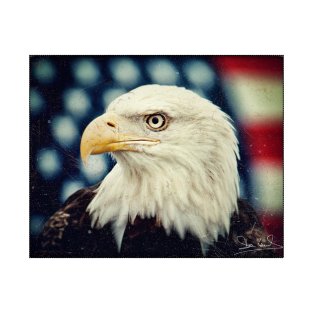 Bald Eagle - Freedom and Power - Patriotic Symbol by Art2Wear