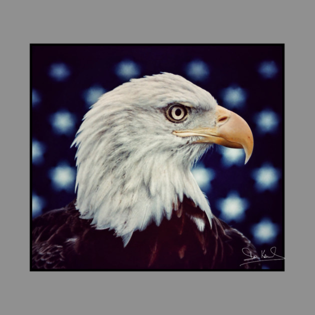 Eagle Symbol of Freedom, Majestic Bird Image by Art2Wear