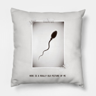Here Is A Really Old Picture of Me Pillow