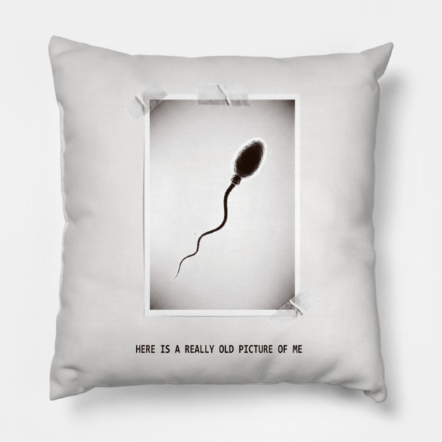 Here Is A Really Old Picture of Me Pillow by CreativeSage