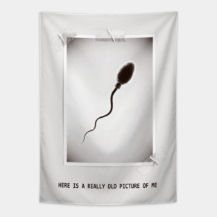 Here Is A Really Old Picture of Me Tapestry