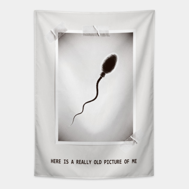 Here Is A Really Old Picture of Me Tapestry by CreativeSage