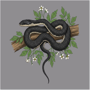 Rat Snake with Woodland Florals Posters and Art