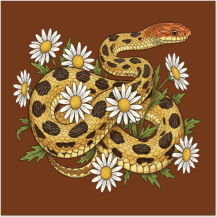 Fox Snake with Wild Daisies Illustration Posters and Art