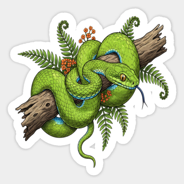 Green Cat Snake with Fern Botanical Art Magnet by BirdsnStuff