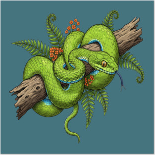 Green Cat Snake with Fern Botanical Art Posters and Art