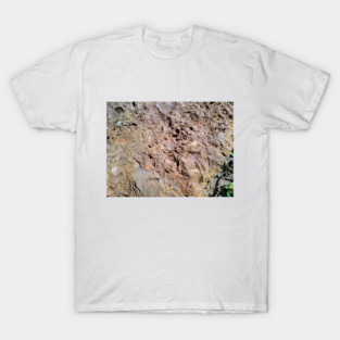 Fossil T-Shirt