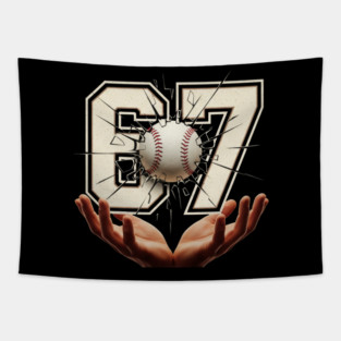 baseball 67 Funny Tapestry