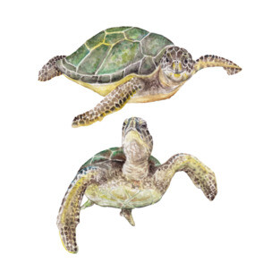 Sea Turtles Watercolor T-Shirt