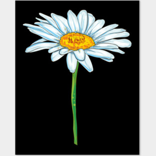 Daisy Posters and Art