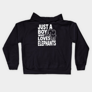 Just a Boy Who Loves Elephants Kids Hoodie