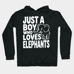 Just a Boy Who Loves Elephants Hoodie