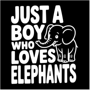 Just a Boy Who Loves Elephants Posters and Art